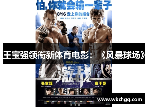 王宝强领衔新体育电影：《风暴球场》