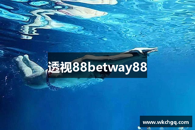 透视88betway88